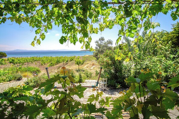 Exterior - İncir Bozcaada (Bozcaada)