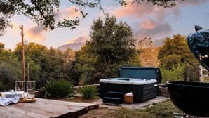 En have med grill, jacuzzi og picnicbord.