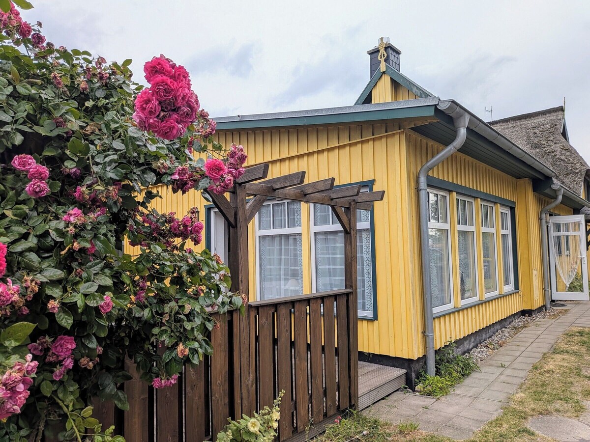 Värdens profilbild