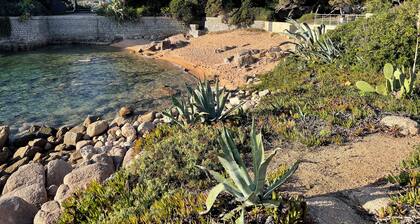 Villa avec jardin en bord de mer, emplacement rare