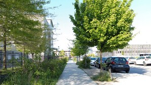 Een stoeprand met geparkeerde auto's en bomen, die naar een gebouw met een witte gevel leidt.