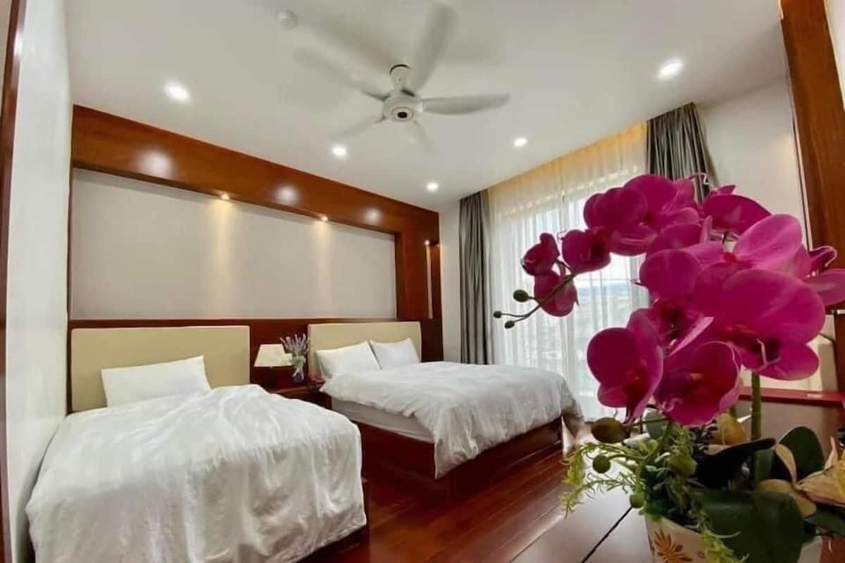 A hotel room with two beds, a ceiling fan, and a potted orchid.