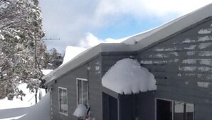 Un edificio cubierto de nieve con una ventana y una puerta, una pala de nieve apoyada contra la pared, y un árbol con nieve en sus ramas.