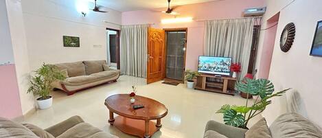 Smart TV, books, video library