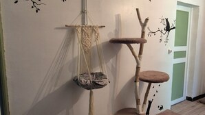 Une pièce avec un arbre à chat, un fauteuil suspendu en macramé et un mur décoré d’autocollants représentant des oiseaux et des arbres.
