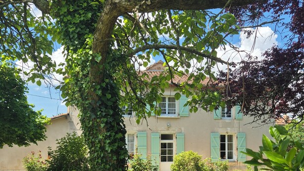 Une maison avec un jardin, un banc et un arbre.