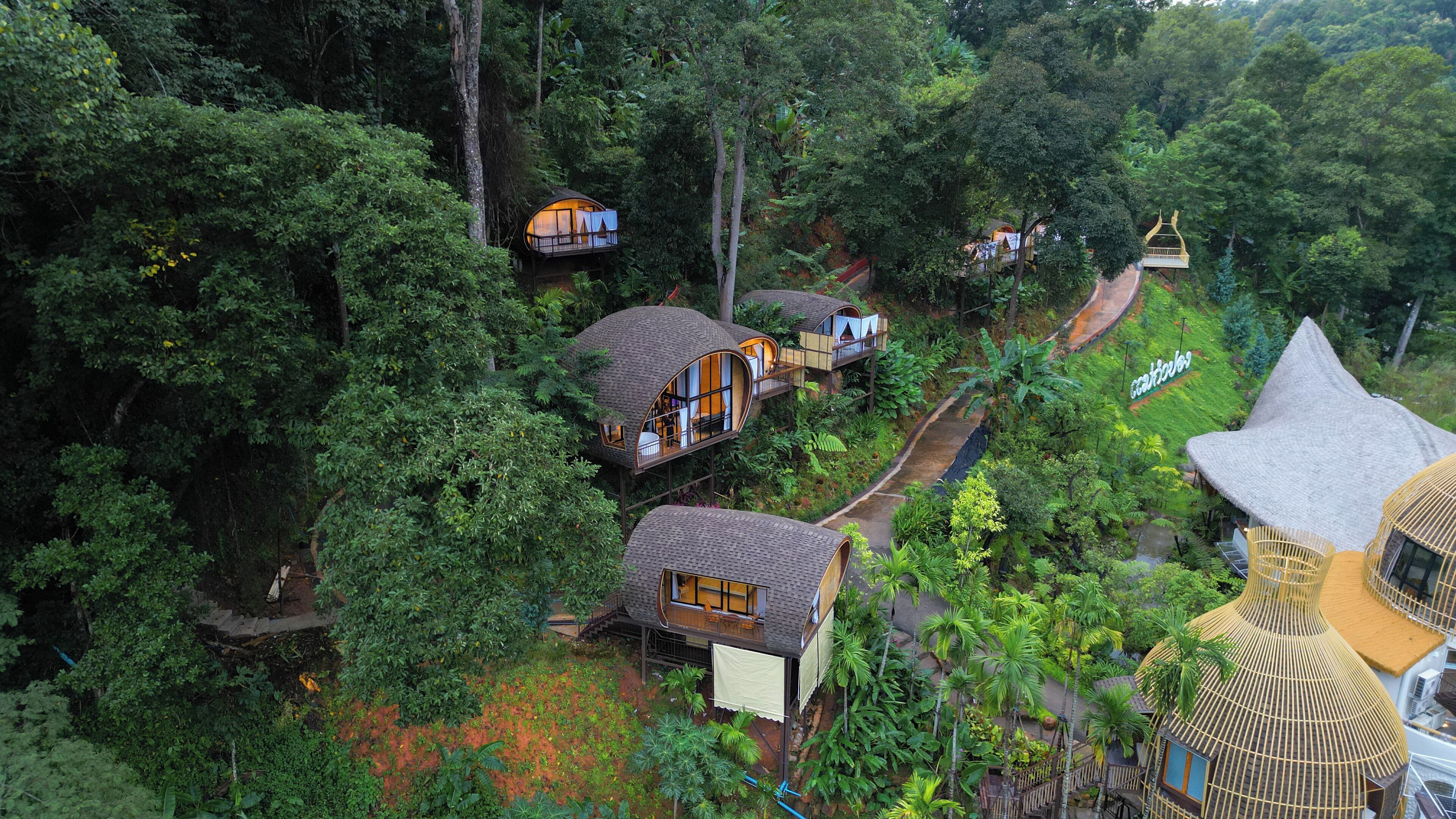 A treehouse resort with elevated wooden structures, interconnected walkways, and lush greenery.