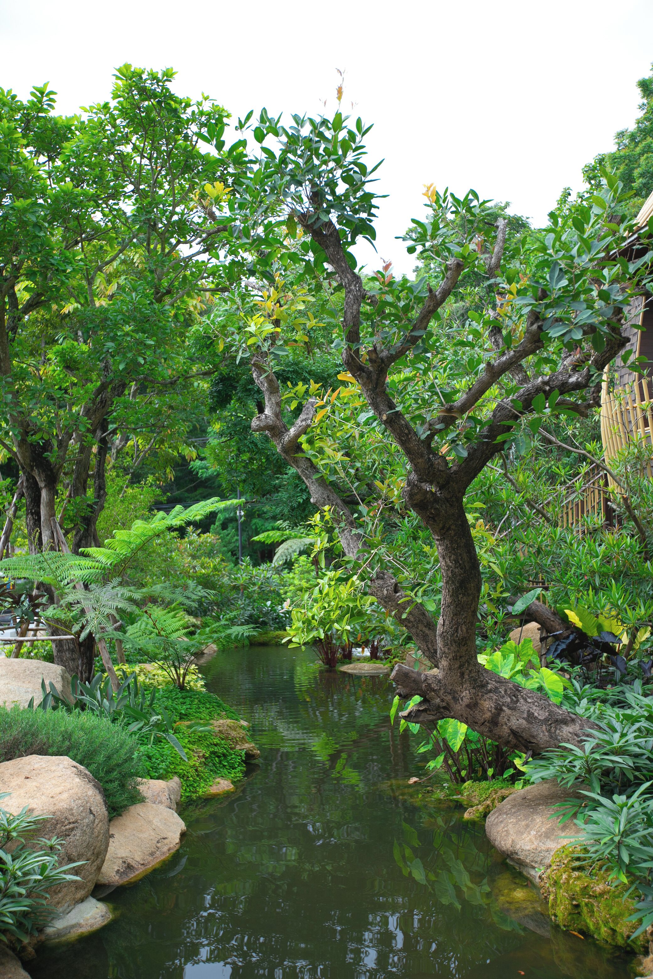 A serene garden with a pond, surrounded by lush greenery and large rocks.