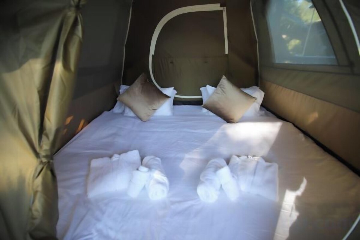 Ropa de cama de alta calidad y minibar con artículos gratuitos