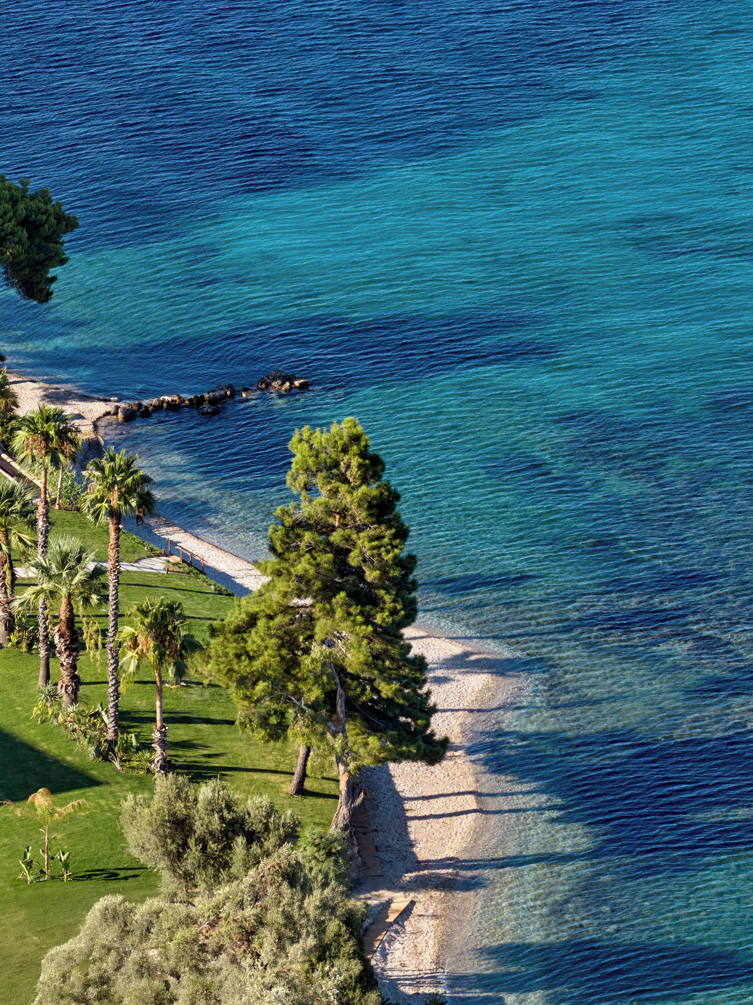 Paisaje costero con aguas azules cristalinas, una playa arenosa y abundante vegetación, incluyendo palmeras y un pino.