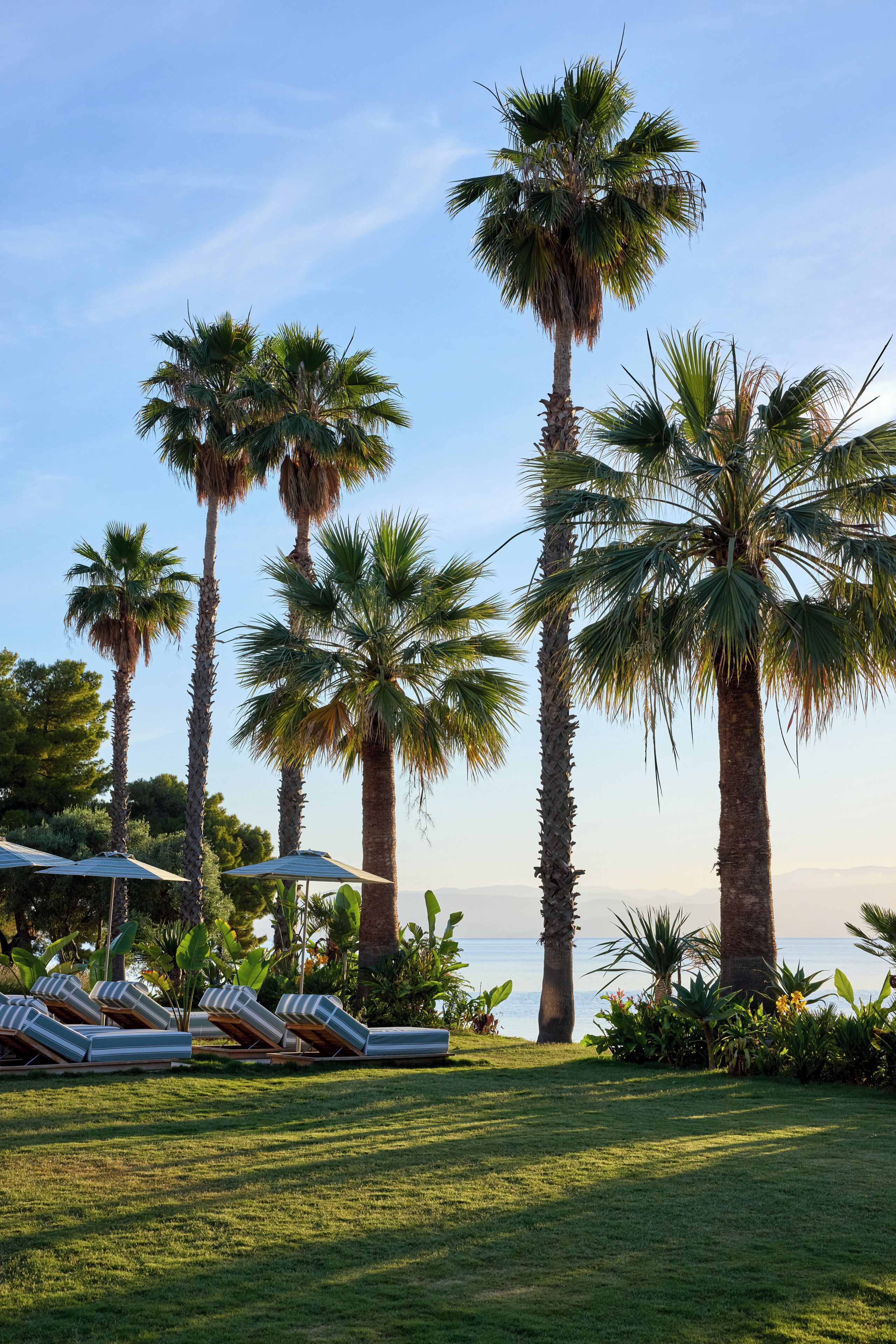 A resort with palm trees, sun loungers, and a view of the sea.