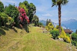 A grassy hillside with a house and a view of mountains.