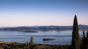 Een panoramisch uitzicht op een meer met verre bergen, een heldere lucht en een hoge boom op de voorgrond.