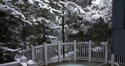 Treeline 6, 3 Bedroom, 2 Bathroom Townhouse close to skiing and biking