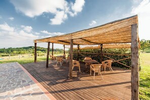 Outdoor dining - 3-Bedroom Apartment Tuscany, Ancient Farm, Nature, Swimming Pool, 6 Guests (Toscana)