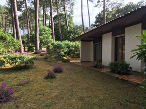 Property grounds - Family House in the Pines - 300m from Lake - 6 Guests - Cleaning Included (Biscarrosse)