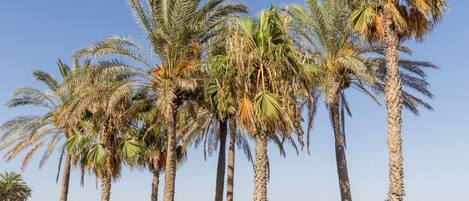 Platja