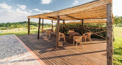 Large Holiday Apartment Tuscany, Ancient Farm, Nature, Swimming Pool, 4 Guests