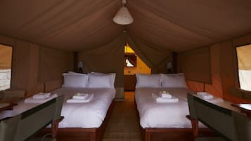 Studio (1 Bedroom) | Intérieur