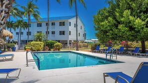 A swimming pool with lounge chairs and palm trees.