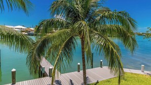 Luokittelematon kuva, 5 kautta 49, painike