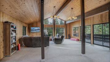 TV, fireplace, DVD player, books