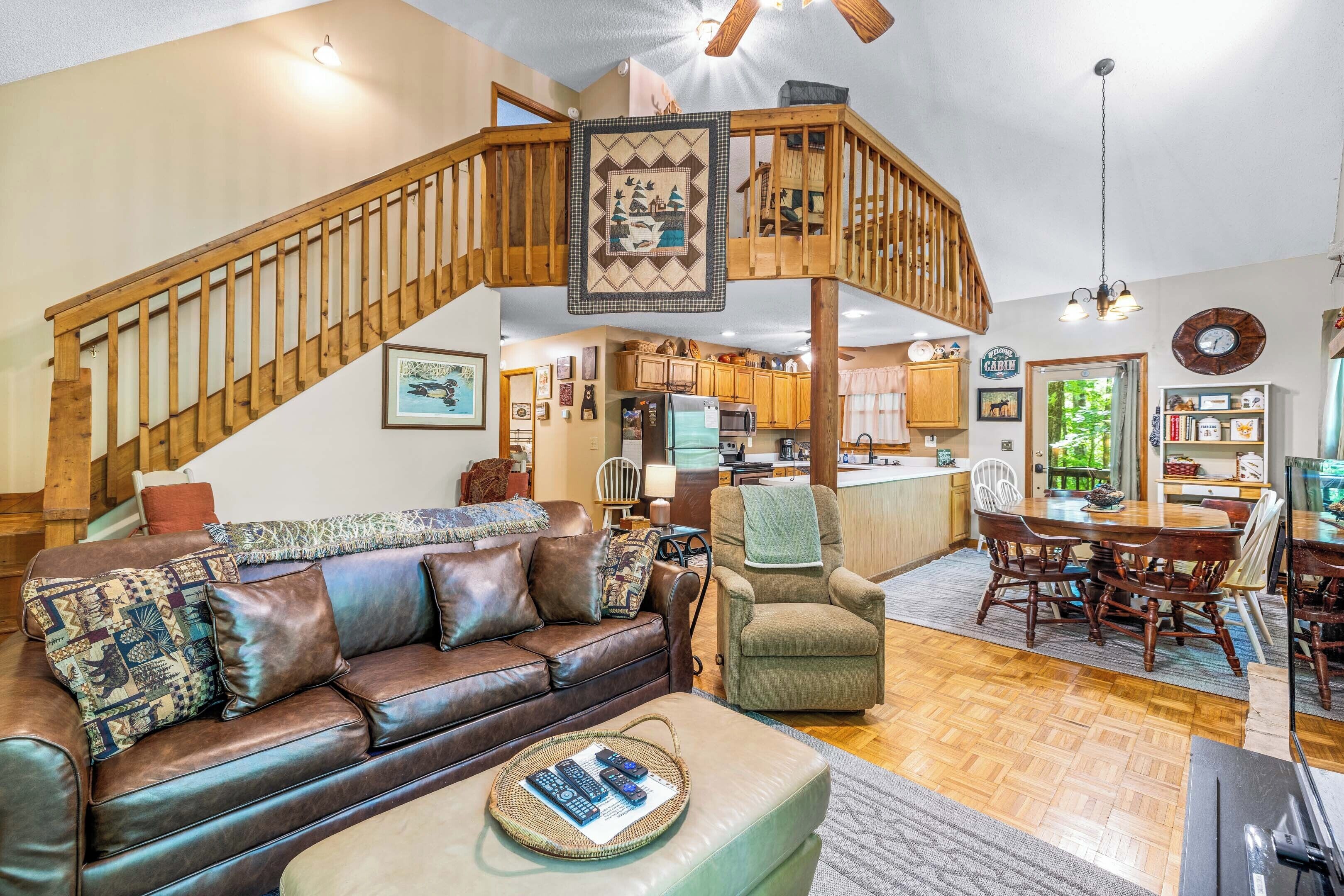 Télévision, cheminée, lecteur de DVD, livres