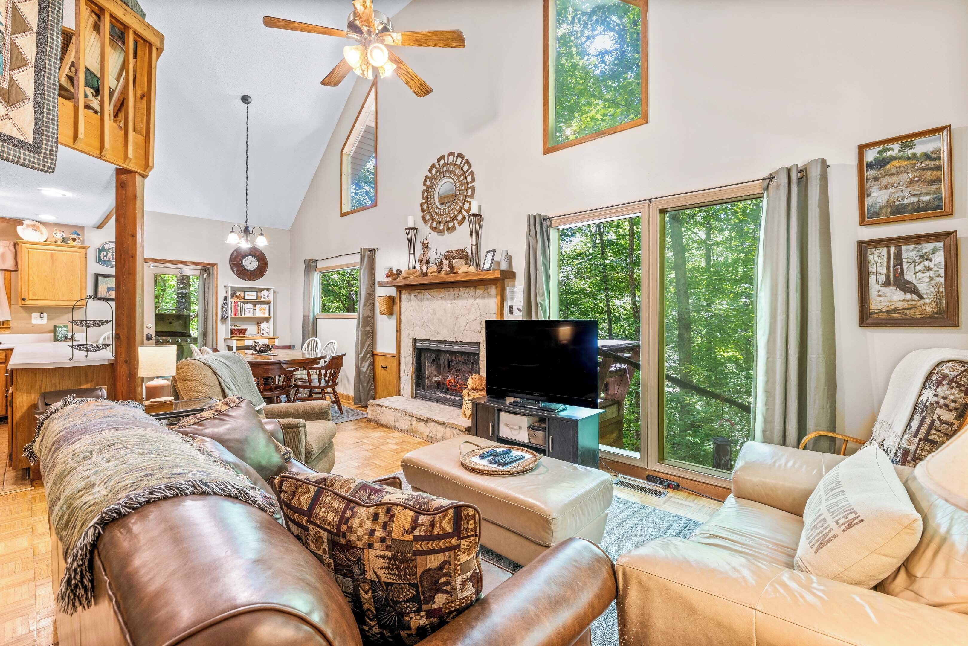 TV, fireplace, DVD player, books