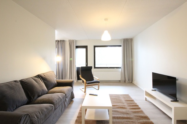 Classic Apartment, Balcony | Living area
