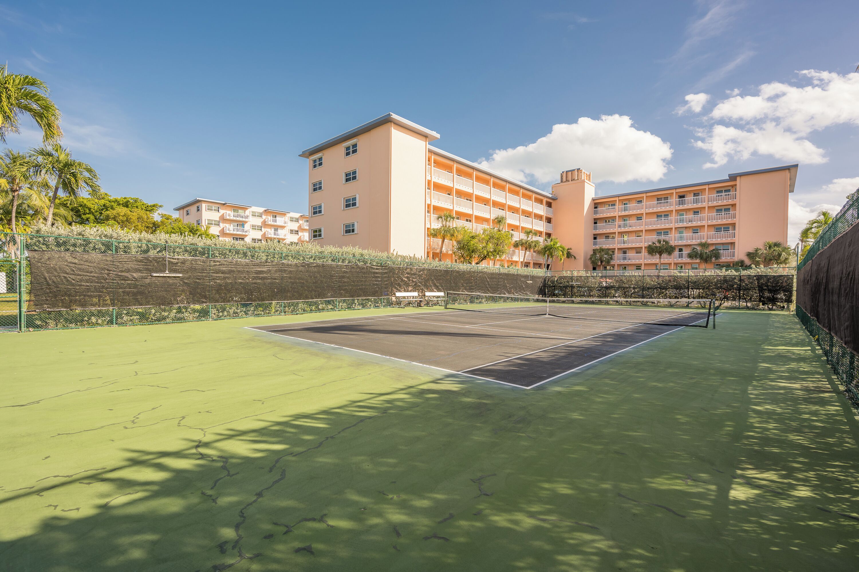 Un court de tennis avec un filet, entouré d’une clôture verte et de palmiers.