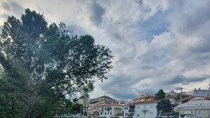 Une zone riveraine avec des bâtiments, un grand arbre et une étendue d’eau calme.