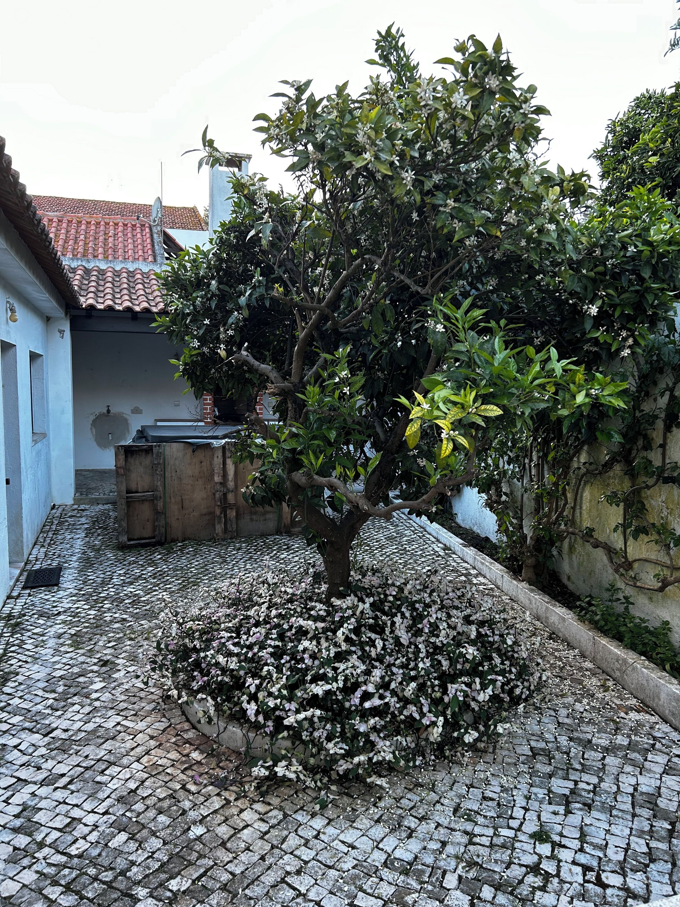 Áreas de la propiedad