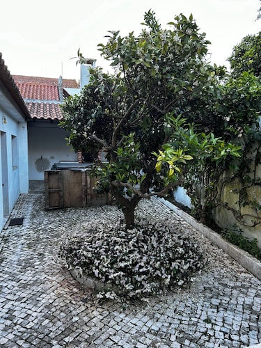 Alojamento Local Coruche