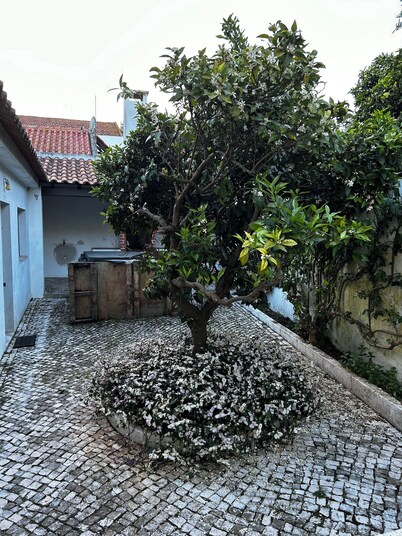 Alojamento Local Coruche