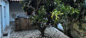 Alojamento Local Coruche