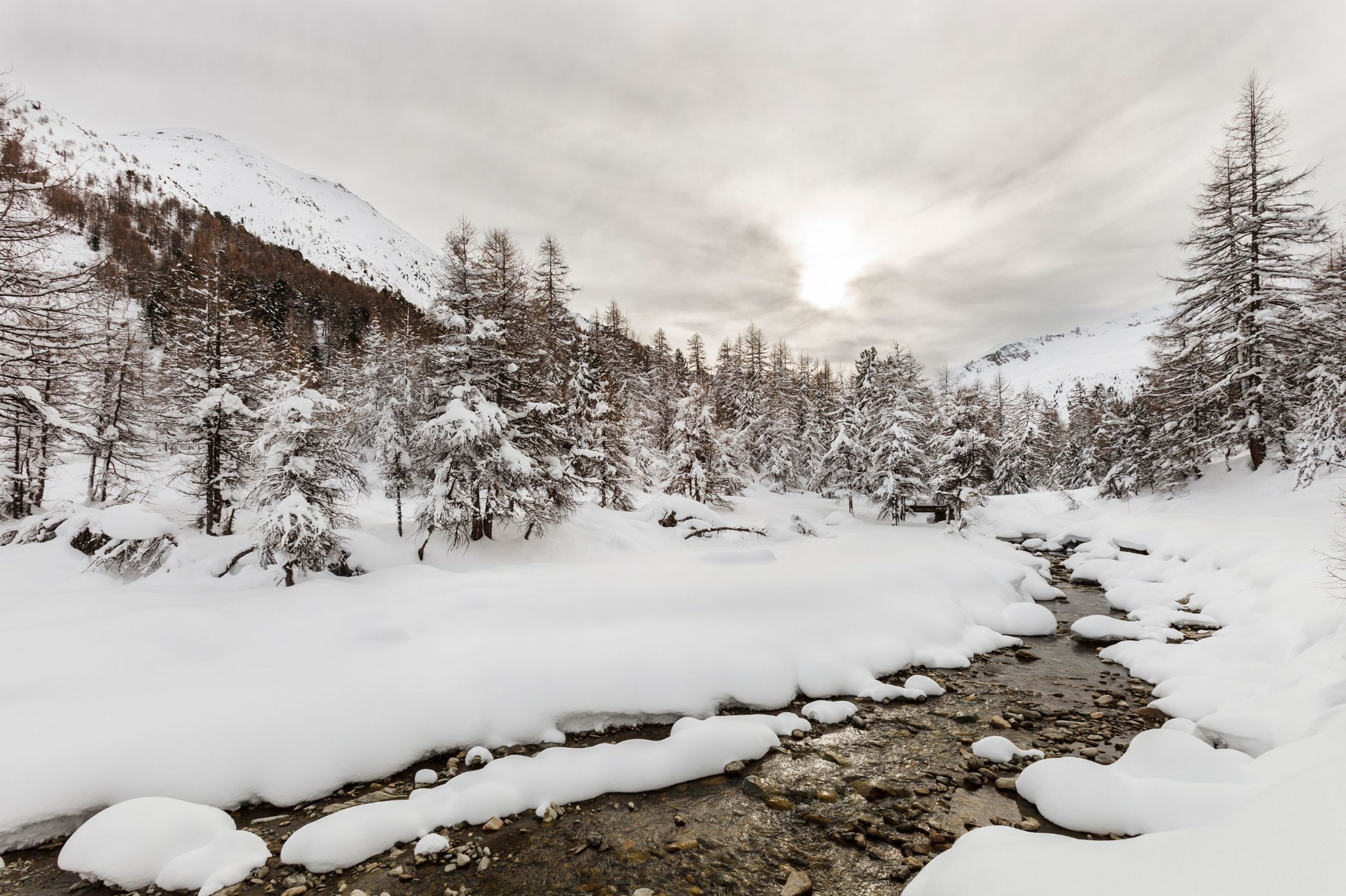 A snow-covered landscape with a stream and trees.