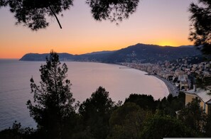 A coastal cityscape with a curved bay, dense urban area, and hills in the background.