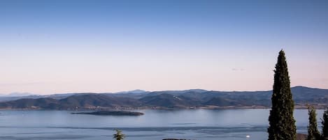 A panoramic view of a lake with distant mountains, a clear sky, and a tall tree in the foreground.