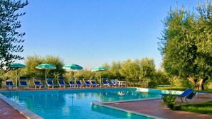 A rectangular swimming pool with blue water, surrounded by a brick walkway. There are several blue lounge chairs and green umbrellas along the poolside. - Rosehip apt With Shared Pool (Castiglione del Lago)