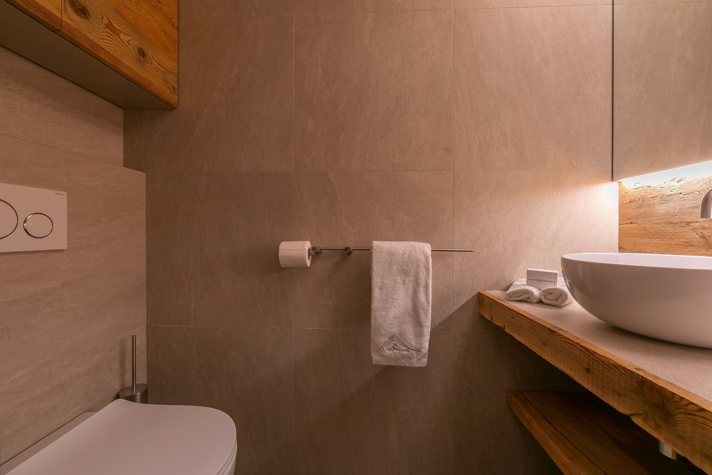 Une salle de bain moderne avec un meuble-lavabo en bois, un grand lavabo blanc et des toilettes.