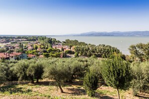A coastal town with a view of the sea, surrounded by olive groves and red-roofed buildings. - Thyme apt With Shared Pool (Castiglione del Lago)