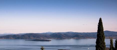 A panoramic view of a lake with distant mountains, clear skies, and a few tall trees in the foreground.