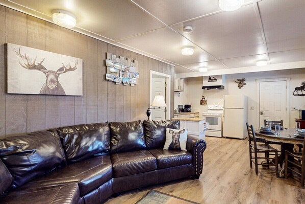 Smart TV, fireplace, books