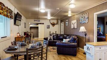 Smart TV, fireplace, books