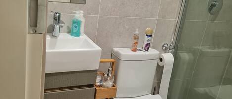 Shower, hair dryer, towels, soap