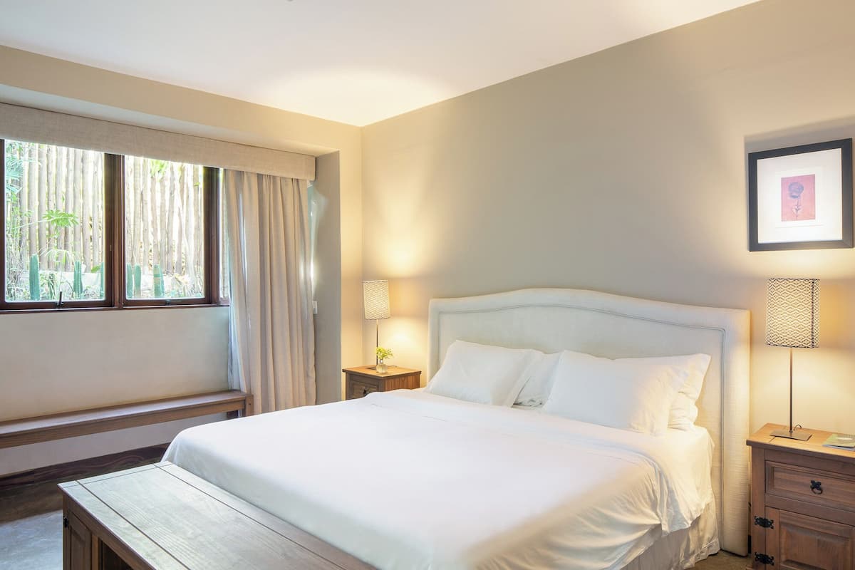 Suite Deluxe | 1 habitación, minibar, decoración personalizada y muebles diferentes