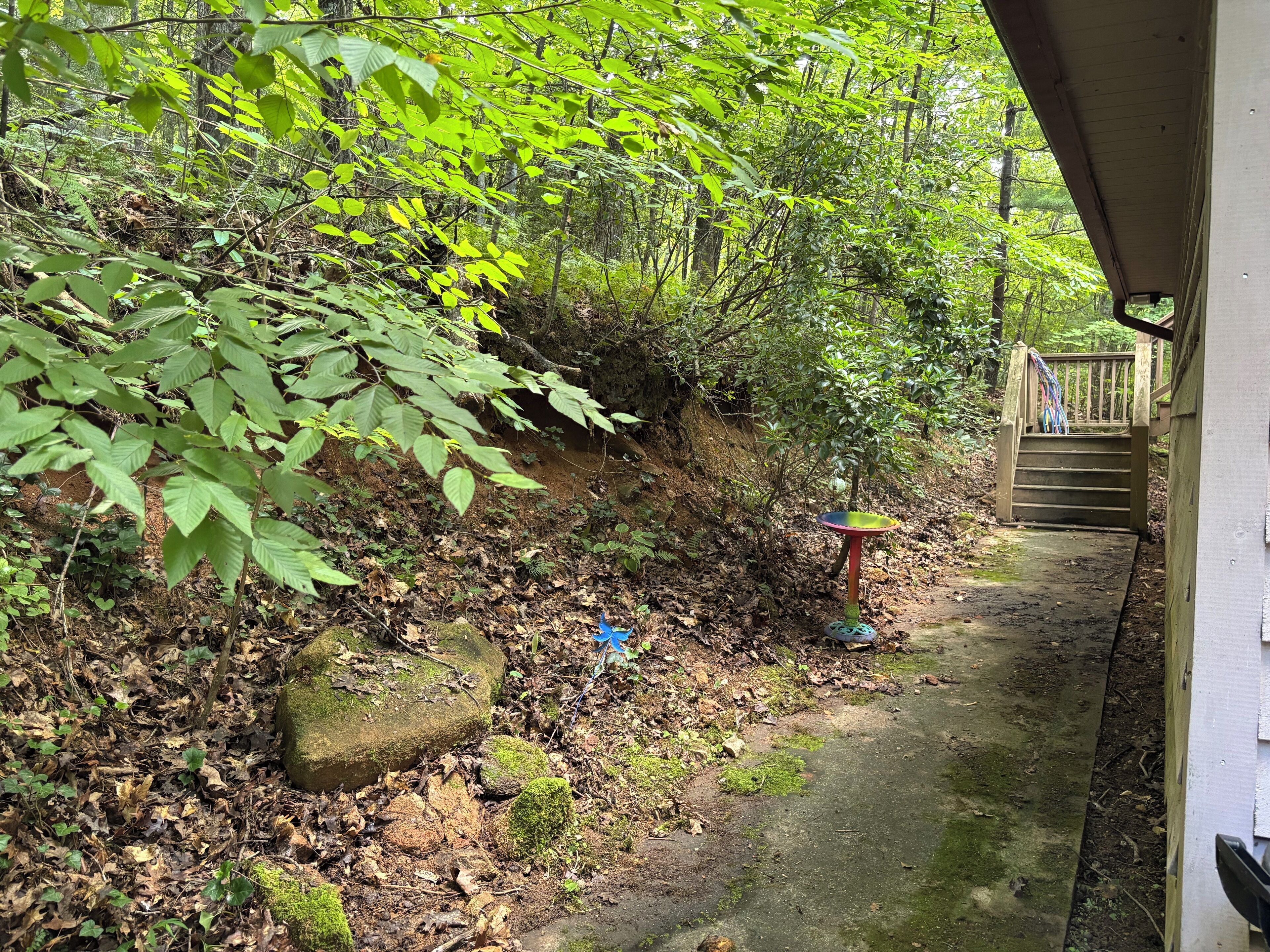 Enceinte de l’hébergement