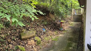 Un sendero estrecho que atraviesa un área boscosa con una escalera de madera y un bebedero de pájaros colorido.