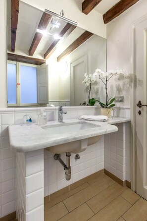 Shower, hair dryer, bidet, towels