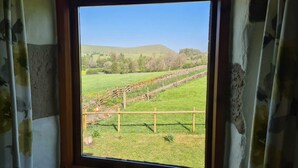 A window with a view of a green field, a stone wall, and a wooden fence.